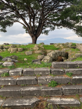 El Altar a Zeus en Pérgamo.