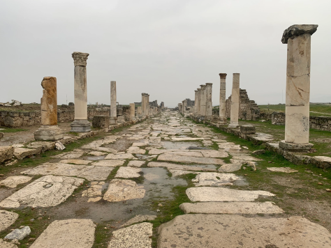 Calzada de mármol con columnas en Laodicea.