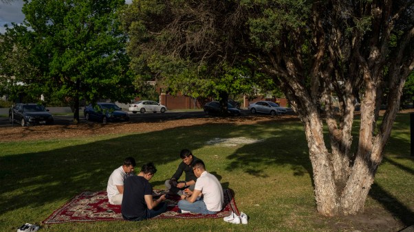 A group of men have a picnic at Dandenong park, Melbourne, on a Sunday afternoon.