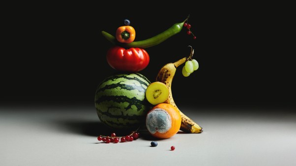 A still life arrangement of fruit, in various states of ripeness against a black background.