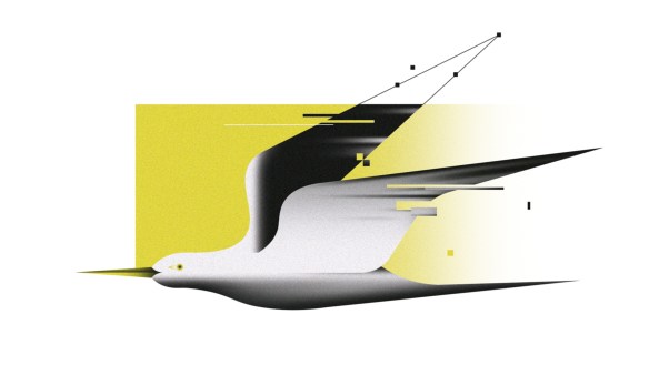 A digital seagull
