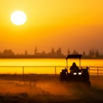 A tractor in a sunny field.