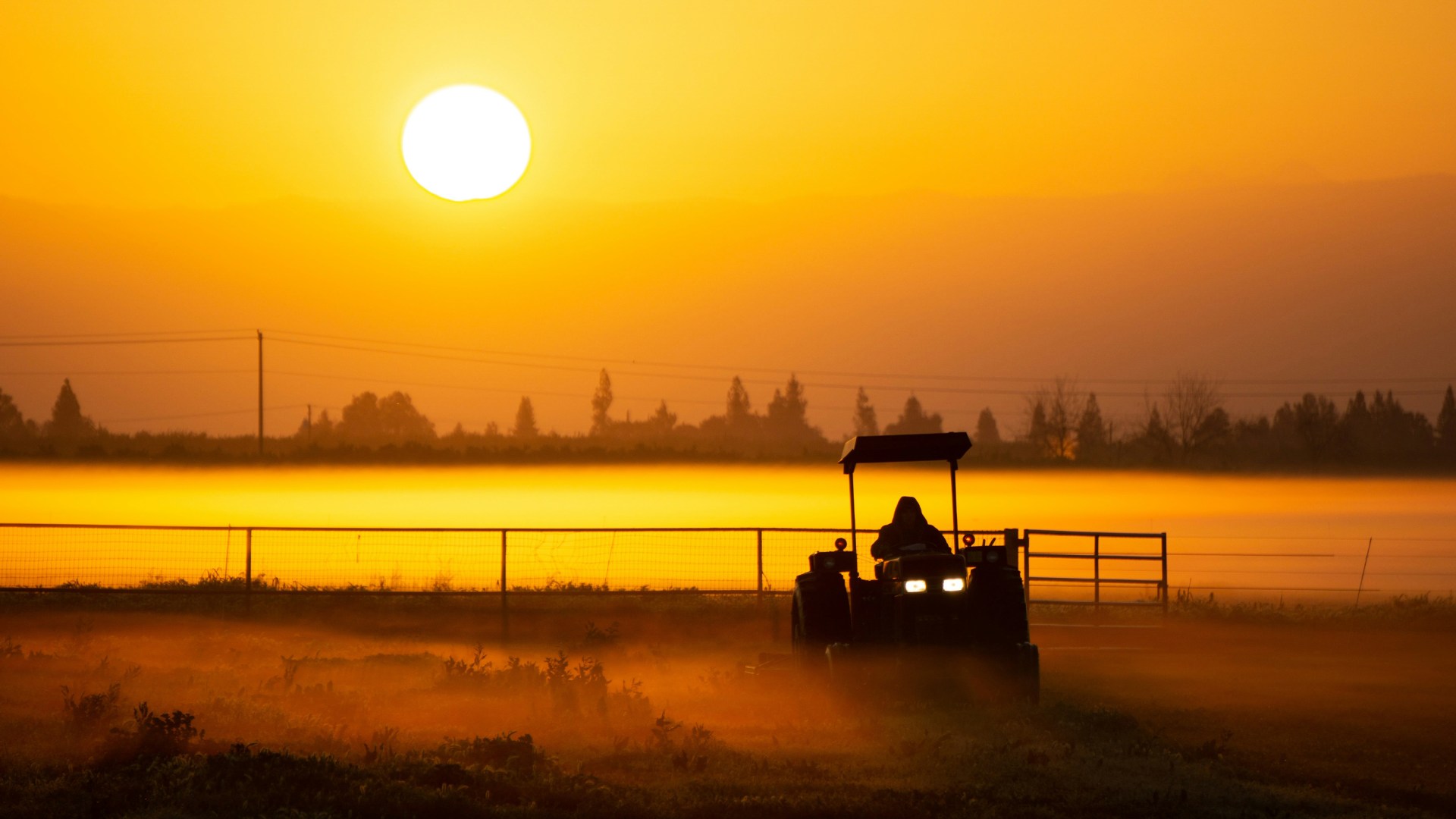A tractor in a sunny field.