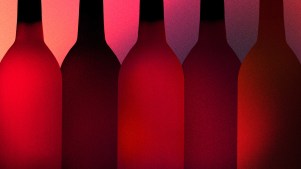 Several abstract wine bottles.